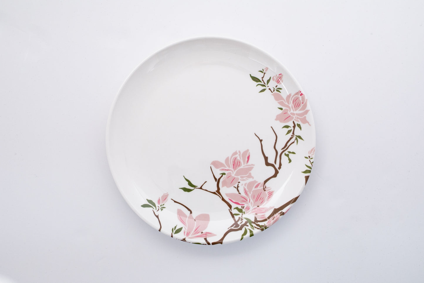 Dinner Plate  Set of ( 6 pieces )